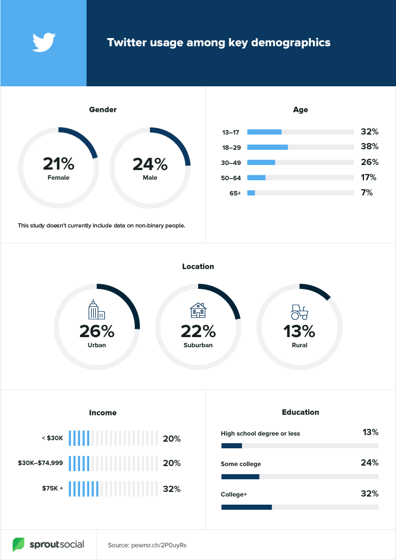 twitter demographics 2020