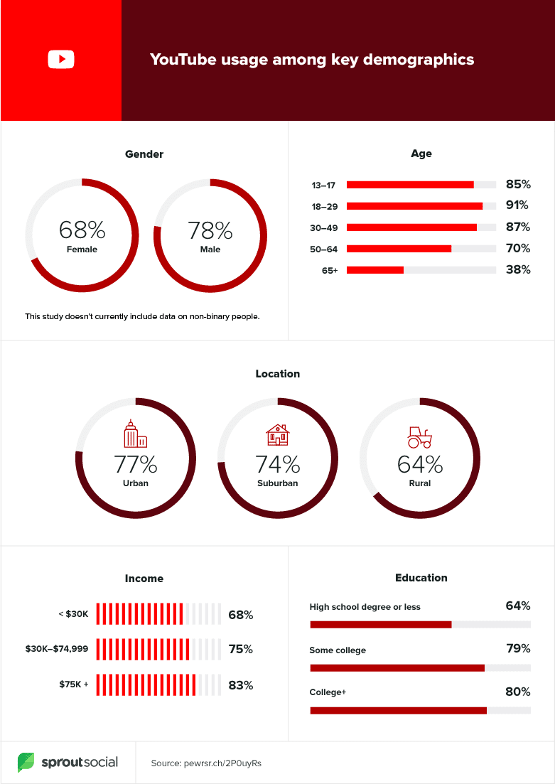 youtube demographics 2020